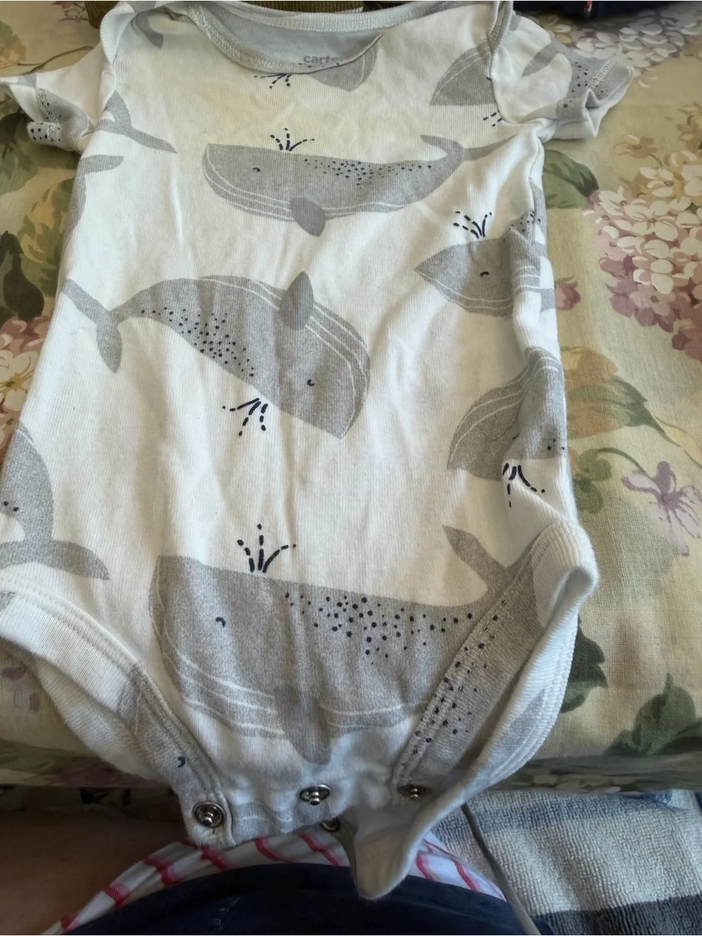 Carter's Baby Bodysuit Mix - White, Coral, Light Blue, Navy, Olive